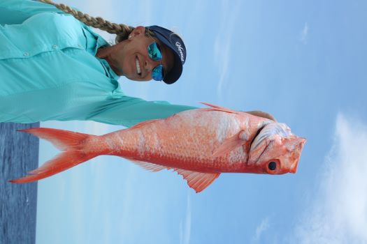 Queen snapper off Bimini deep drop