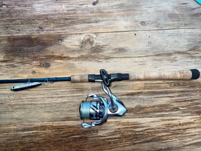 Topwater Setup
