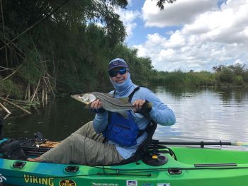 Snook Caught in Puerto Rico