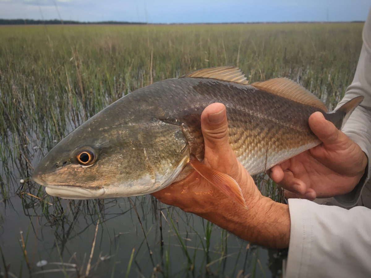 Fishing and Grass: Not as Controversial as You'd Think