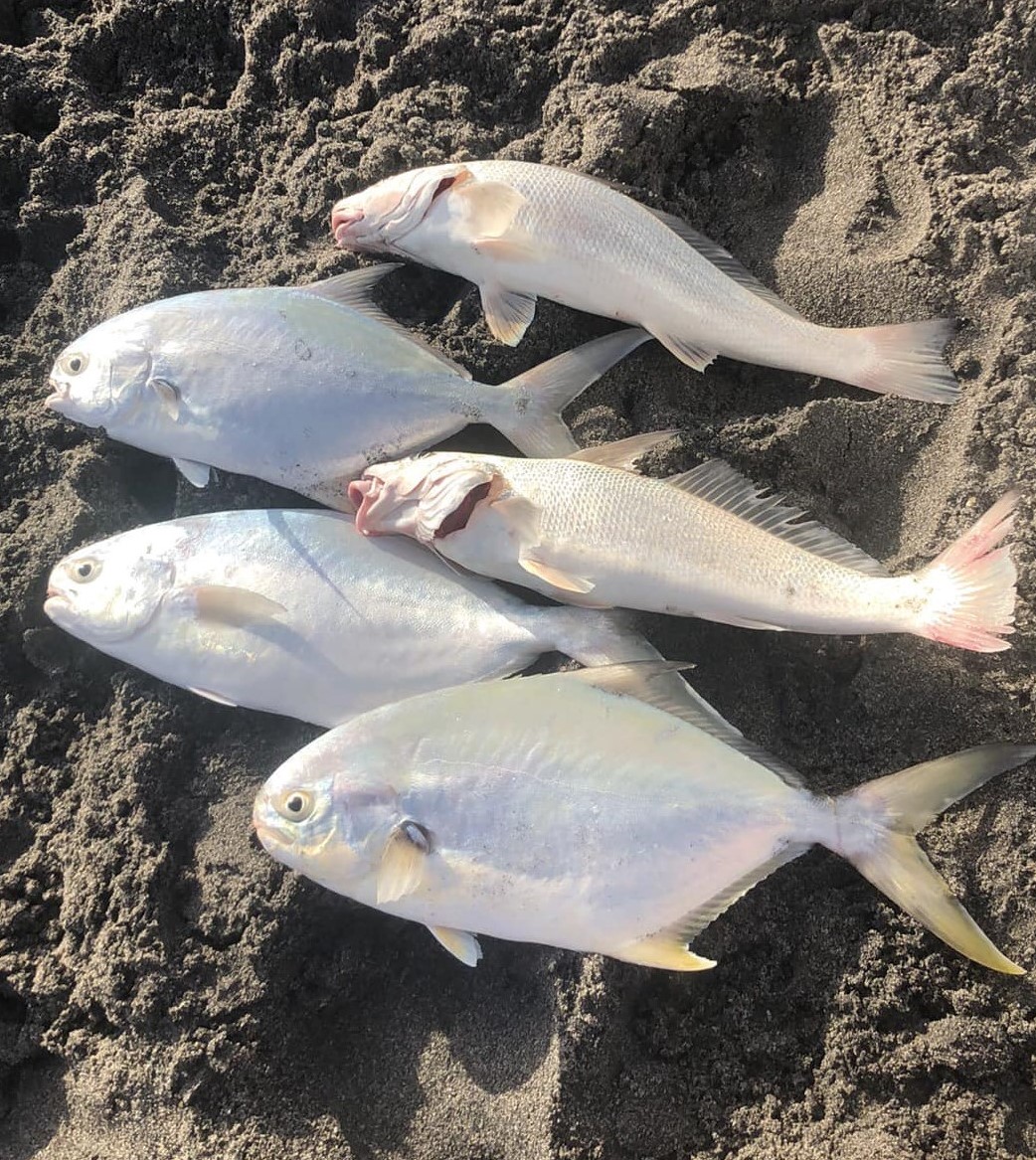 This Is the ONLY Reason We Caught Fish! Surf Fishing Flagler Beach Florida  