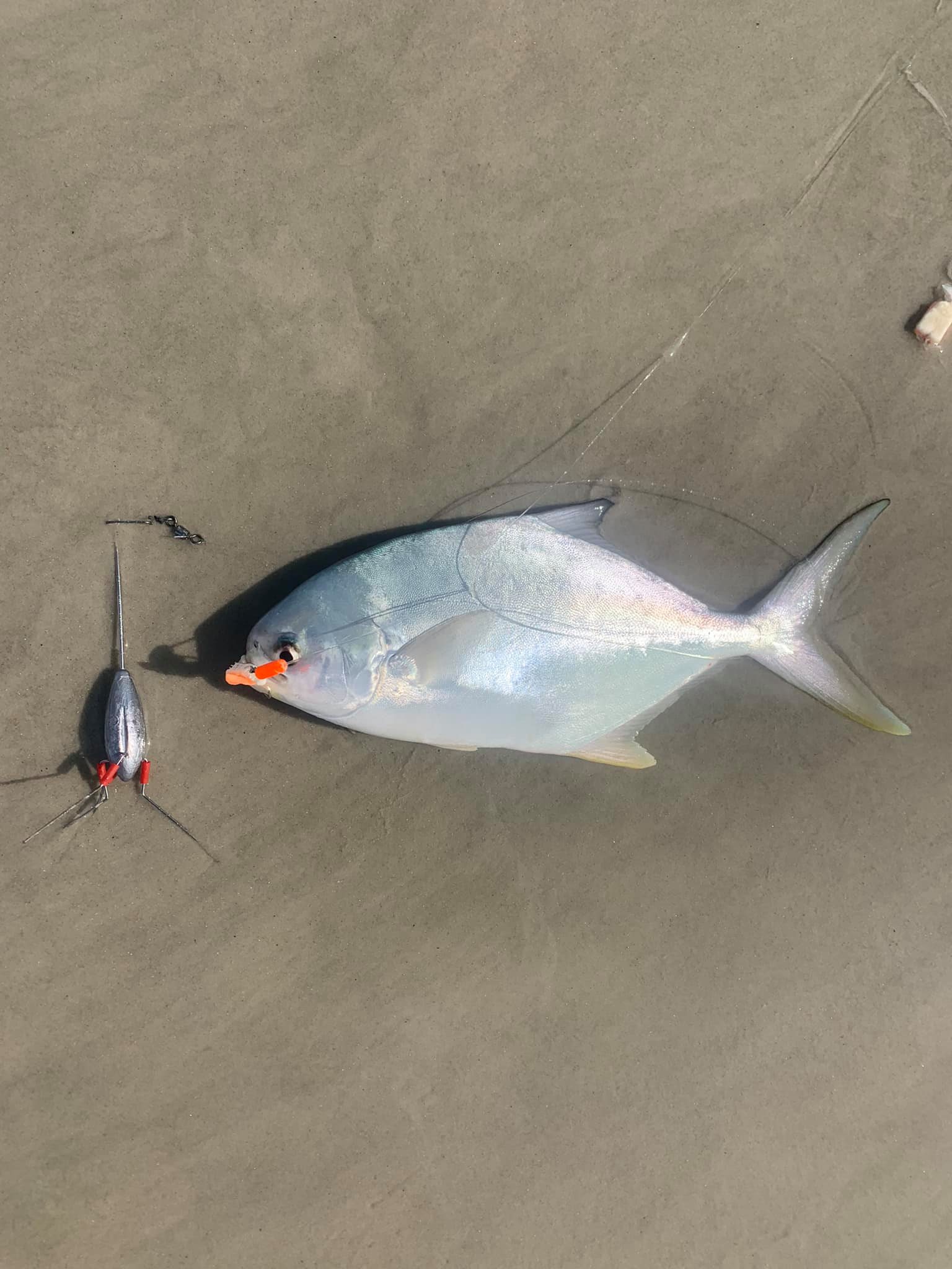 Cool off in the summer surf and the east coast pompano bite!