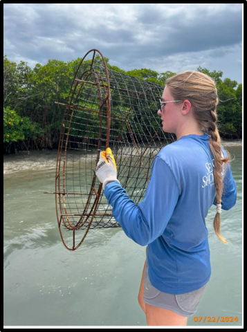 Sea & Shoreline staff deploy their patented Herbivory Exclusion Devices at Tucker Cove